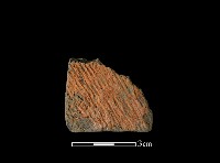 陶片藏品圖，第1張