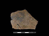 陶片藏品圖，第1張