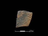 陶片藏品圖，第1張