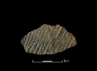 陶片藏品圖，第1張