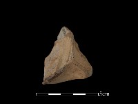 連杯形器藏品圖，第2張