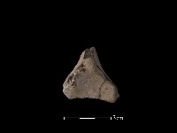 連杯形器藏品圖，第1張