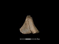 連杯形器藏品圖，第3張