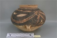 彩陶罐藏品圖，第4張