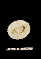 糕果盤藏品圖，第1張