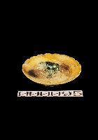 動物盤藏品圖，第1張