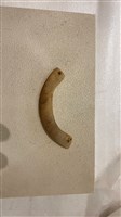 璜藏品圖，第1張