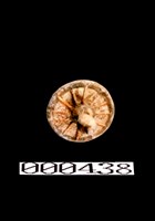 加彩牛車-輪藏品圖，第1張