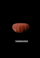 清剔紅龍紋葵瓣式漆盒-身藏品圖，第1張