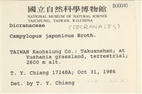 日本曲柄蘚藏品圖，第2張