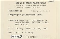 登錄號:B00000042藏品圖，第2張