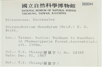 青毛苔藏品圖，第2張