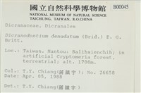青毛苔藏品圖，第2張