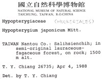 日本孔雀蘚藏品圖，第2張