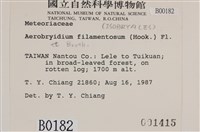 毛扭蘚藏品圖，第2張