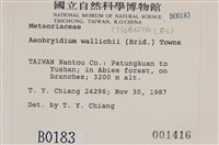 登錄號:B00000183藏品圖，第2張