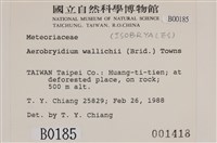 登錄號:B00000185藏品圖，第2張