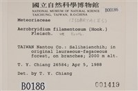 毛扭蘚藏品圖，第2張