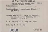 毛扭蘚藏品圖，第2張