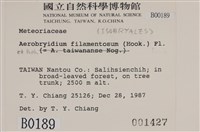 毛扭蘚藏品圖，第2張