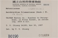 毛扭蘚藏品圖，第2張