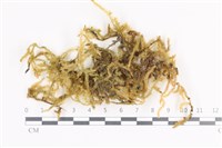 登錄號:B00000192藏品圖，第1張