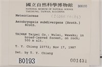 大灰氣蘚藏品圖，第2張