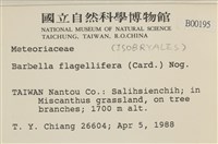 鞭枝懸蘚藏品圖，第2張