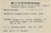 鞭枝懸蘚藏品圖，第2張