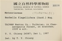 鞭枝懸蘚藏品圖，第2張