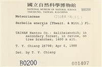 登錄號:B00000200藏品圖，第2張