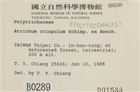 卷葉仙鶴蘚藏品圖，第2張
