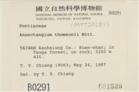 索氏叢本蘚藏品圖，第2張