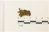 登錄號:B00000292藏品圖，第1張