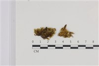 登錄號:B00000347藏品圖，第1張