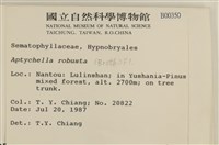 登錄號:B00000350藏品圖，第2張