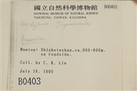 登錄號:B00000403藏品圖，第2張