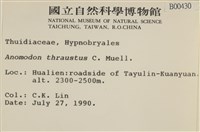 碎葉牛舌蘚藏品圖，第2張