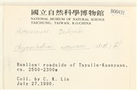 登錄號:B00000431藏品圖，第2張