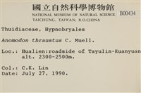 碎葉牛舌蘚藏品圖，第2張