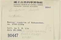 館號:B00000447藏品圖，第2張