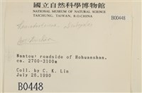 登錄號:B00000448藏品圖，第2張