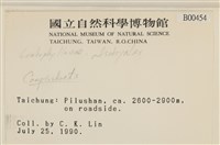 登錄號:B00000454藏品圖，第2張