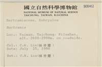 登錄號:B00000462藏品圖，第2張