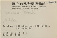 登錄號:B00000475藏品圖，第2張