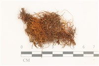 登錄號:B00000475藏品圖，第1張