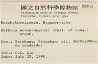燕尾蘚藏品圖，第2張