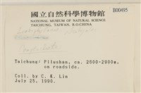 登錄號:B00000495藏品圖，第2張