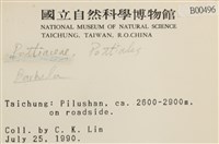 登錄號:B00000496藏品圖，第2張