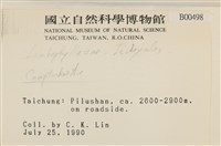 登錄號:B00000498藏品圖，第2張